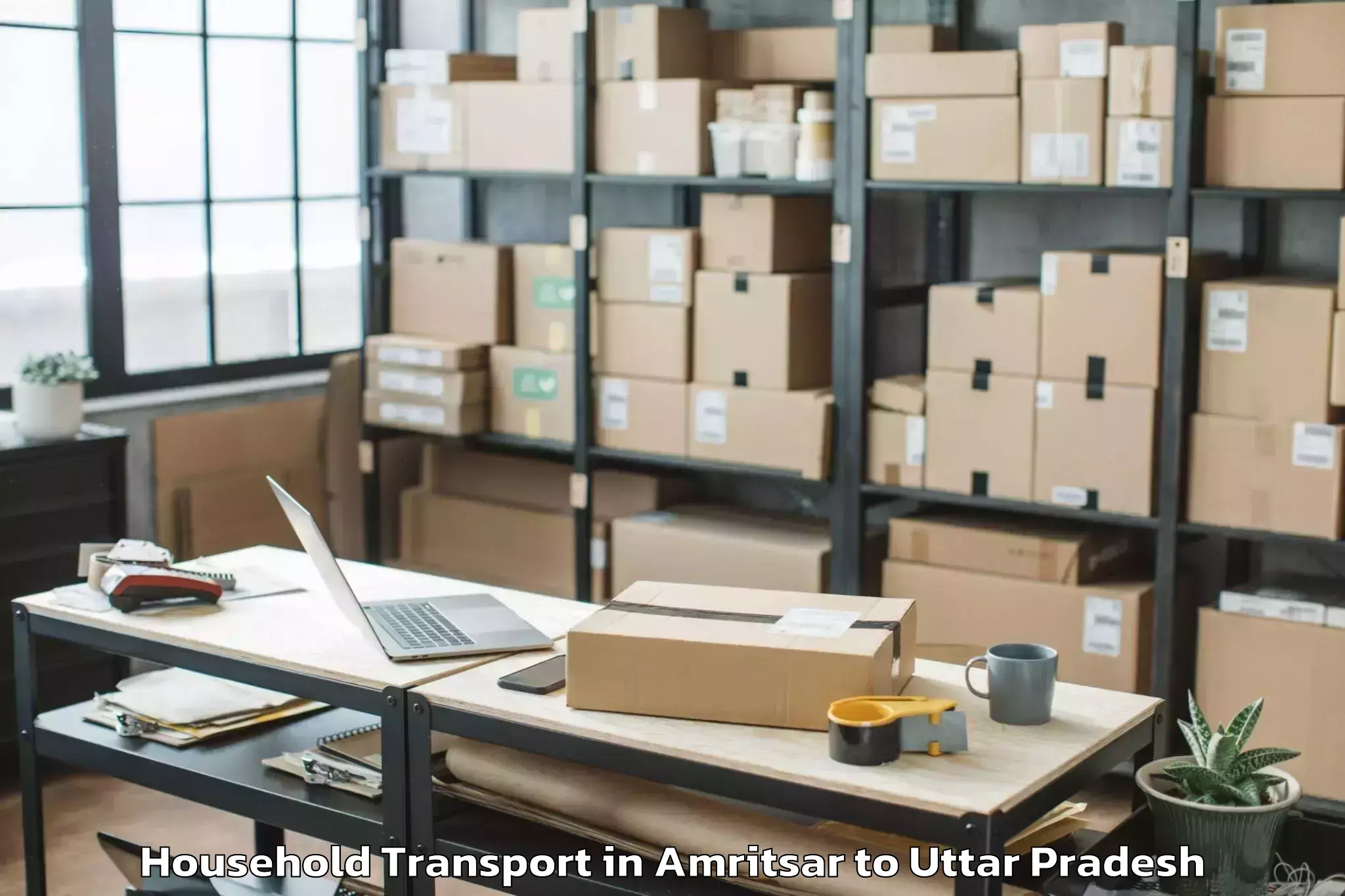 Professional Amritsar to Auraiya Household Transport